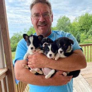 c_h_pembroke_corgis_1661705525_2914919676258941846_47406370877 c_h_pembroke_corgis_1661705525_2914919676258941846_47406370877
